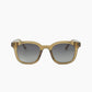 Tinted Sunglasses